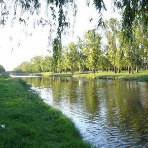 Meet your Posher, Ro jane